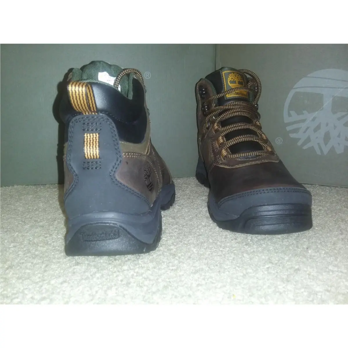 Timberland shoes - Timberland Mt. Major Ii - Major - Brown 2