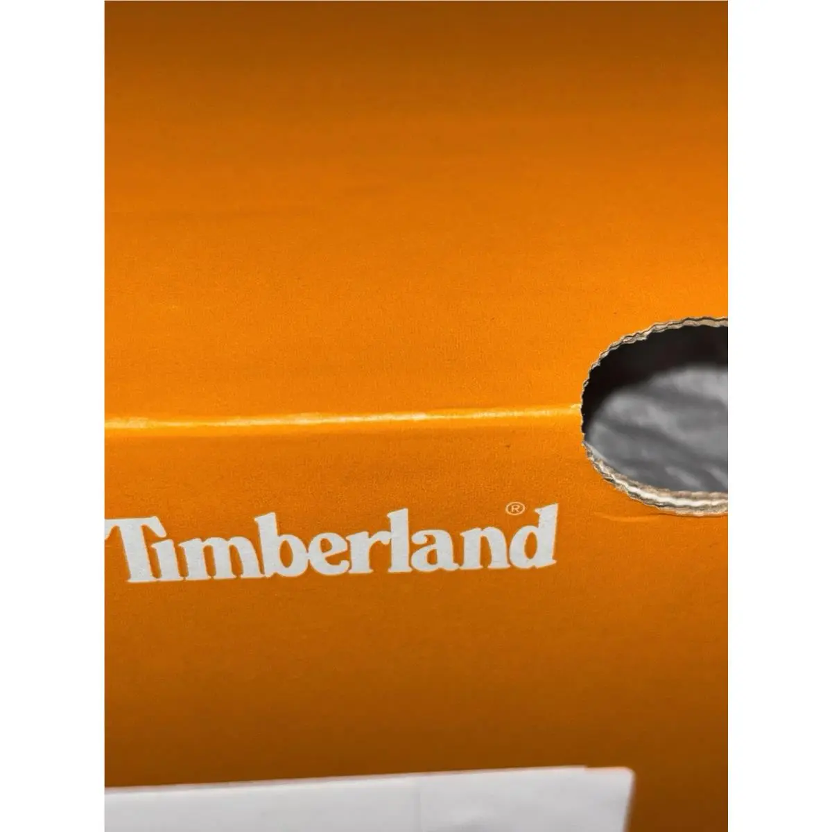 Timberland shoes - Timberlane - Timberlane - Beige 11
