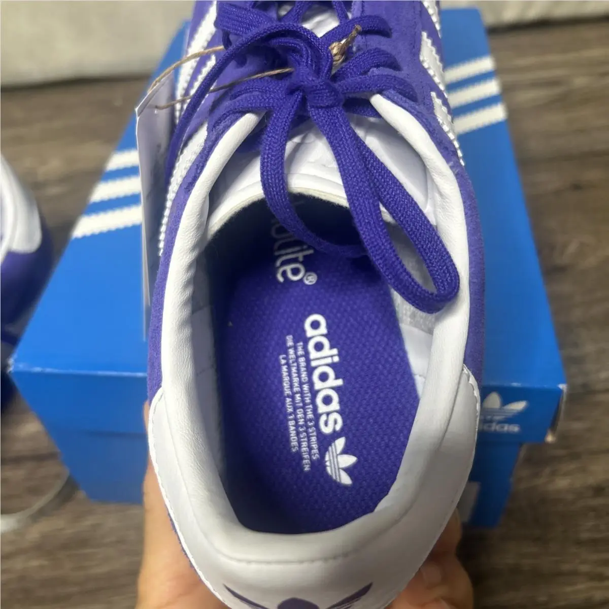 Adidas shoes - adidas Gazelle - Gazelle - Purple 14