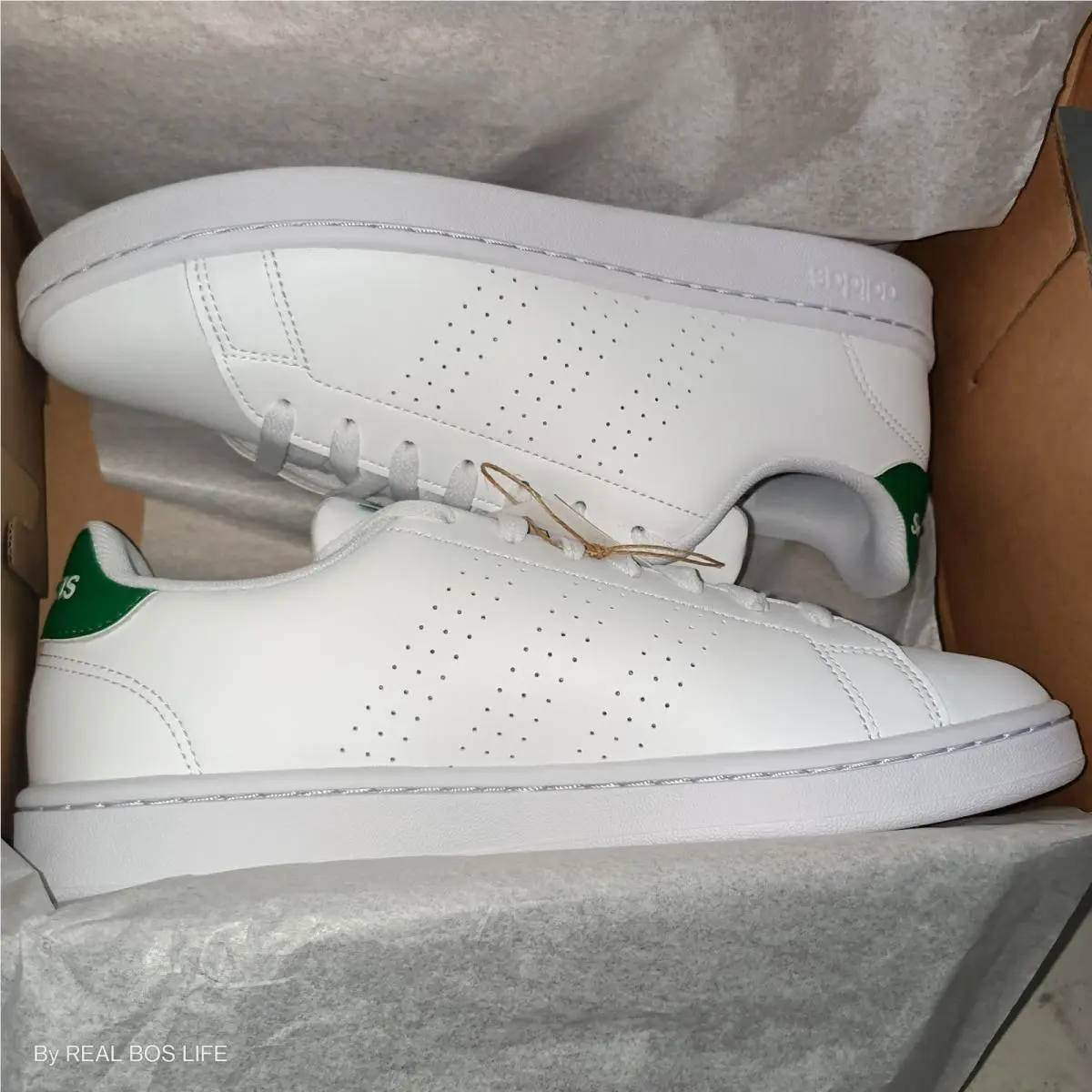 Adidas shoes - adidas Advantage - Advantage - White 8