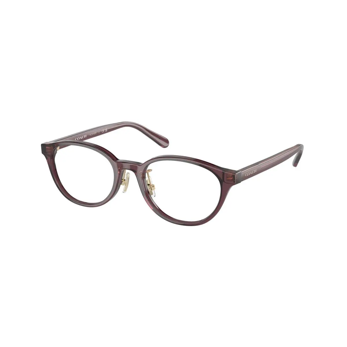 HC 6152 D Transparent Mauve 5677 Size 49 Eyeglasses by Coach