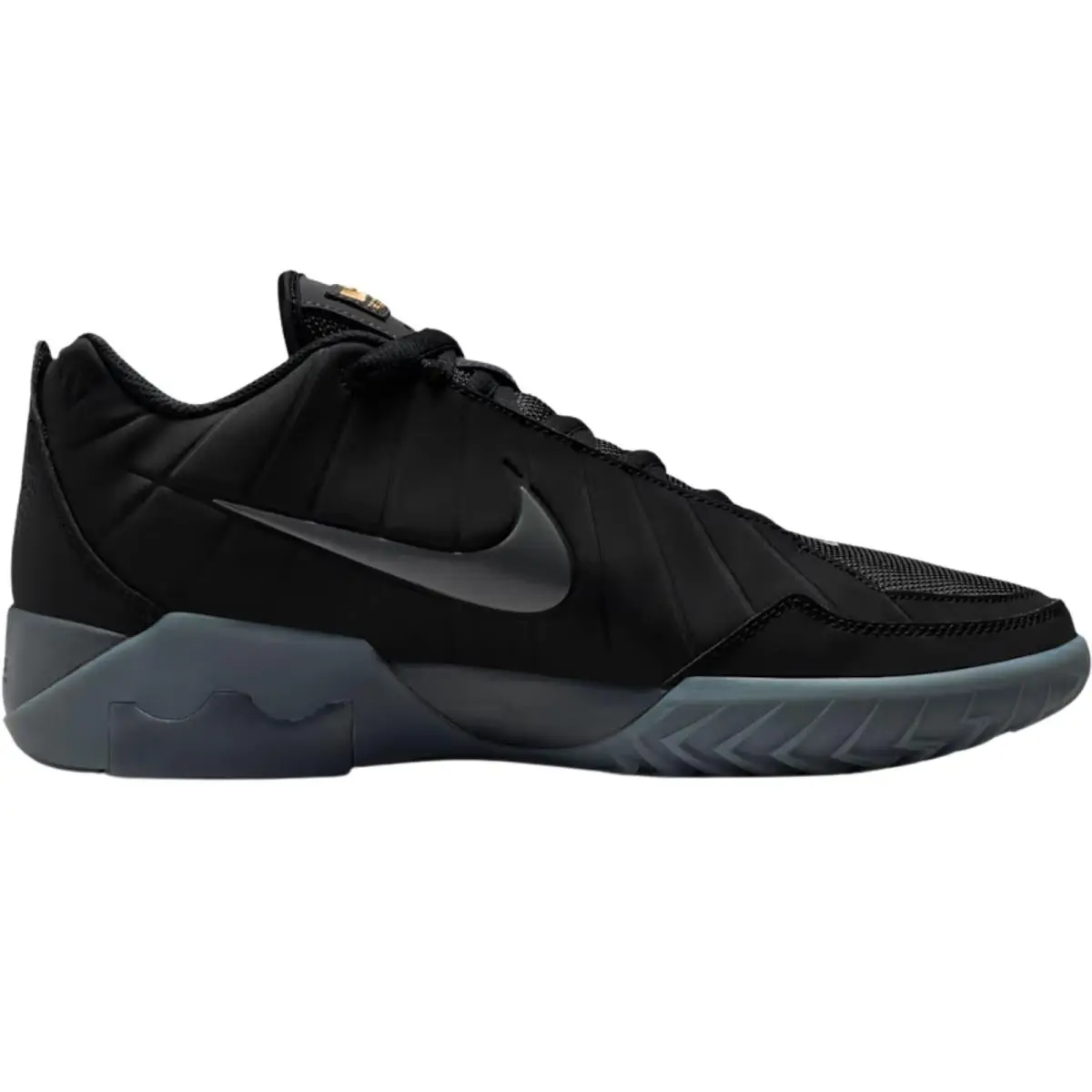 Nike shoes - Nike LeBron Witness 9 - LeBron Witness - Anthracite/Iron Grey/Desert Dust/Black 24