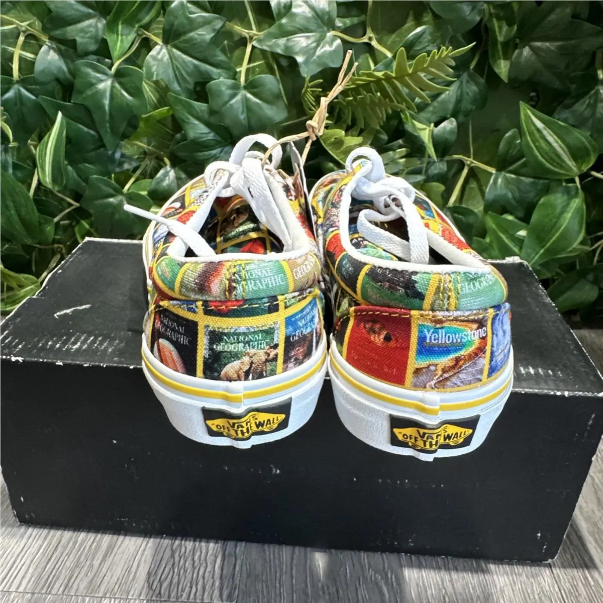 Vans shoes - Multicolor 3