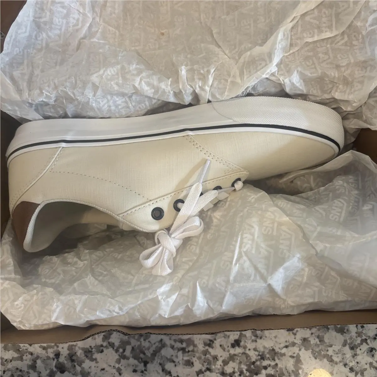 Vans shoes - VANS Atwood - Atwood - Turtledove Beige 13