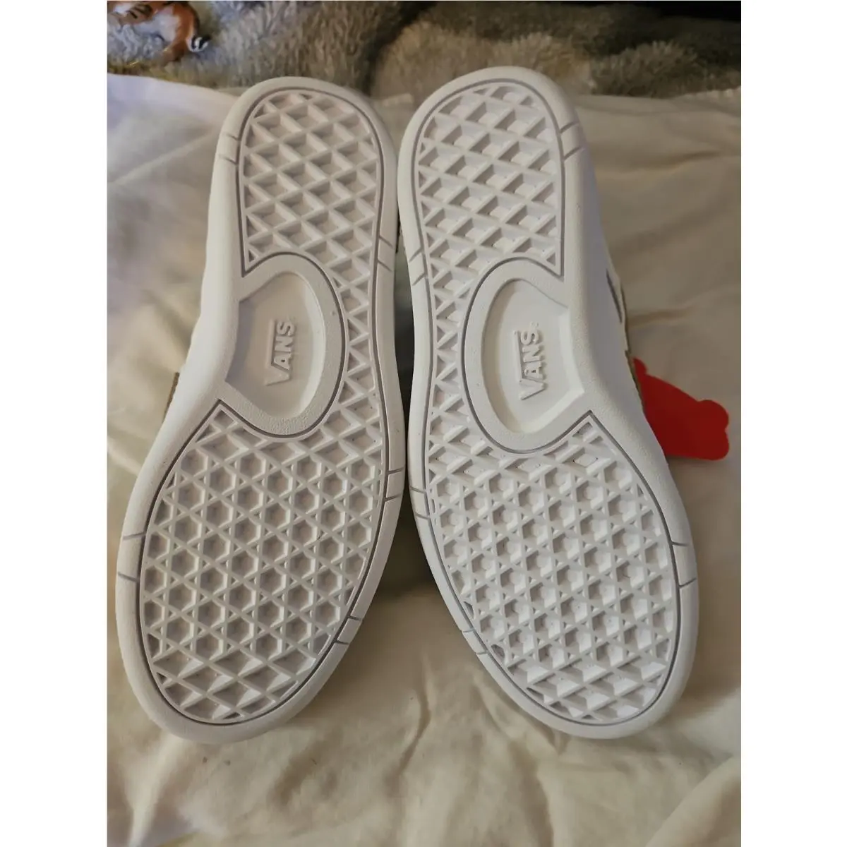 Vans shoes - VANS Lowland - Lowland - White 4