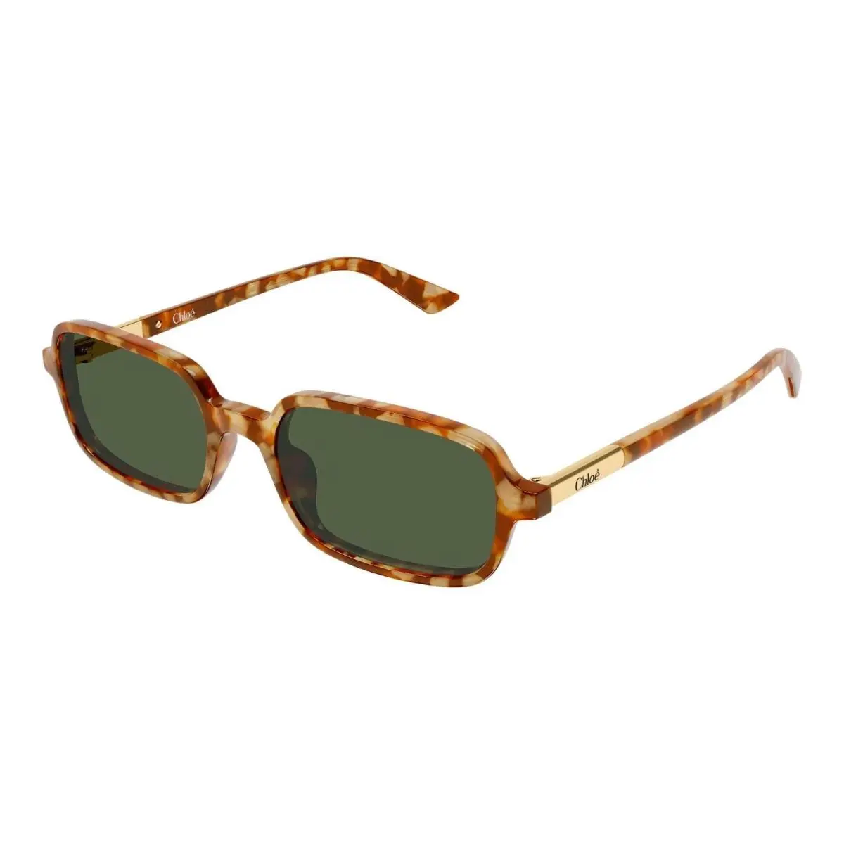 Chloe CH0363S Havana/green 003 Sunglasses