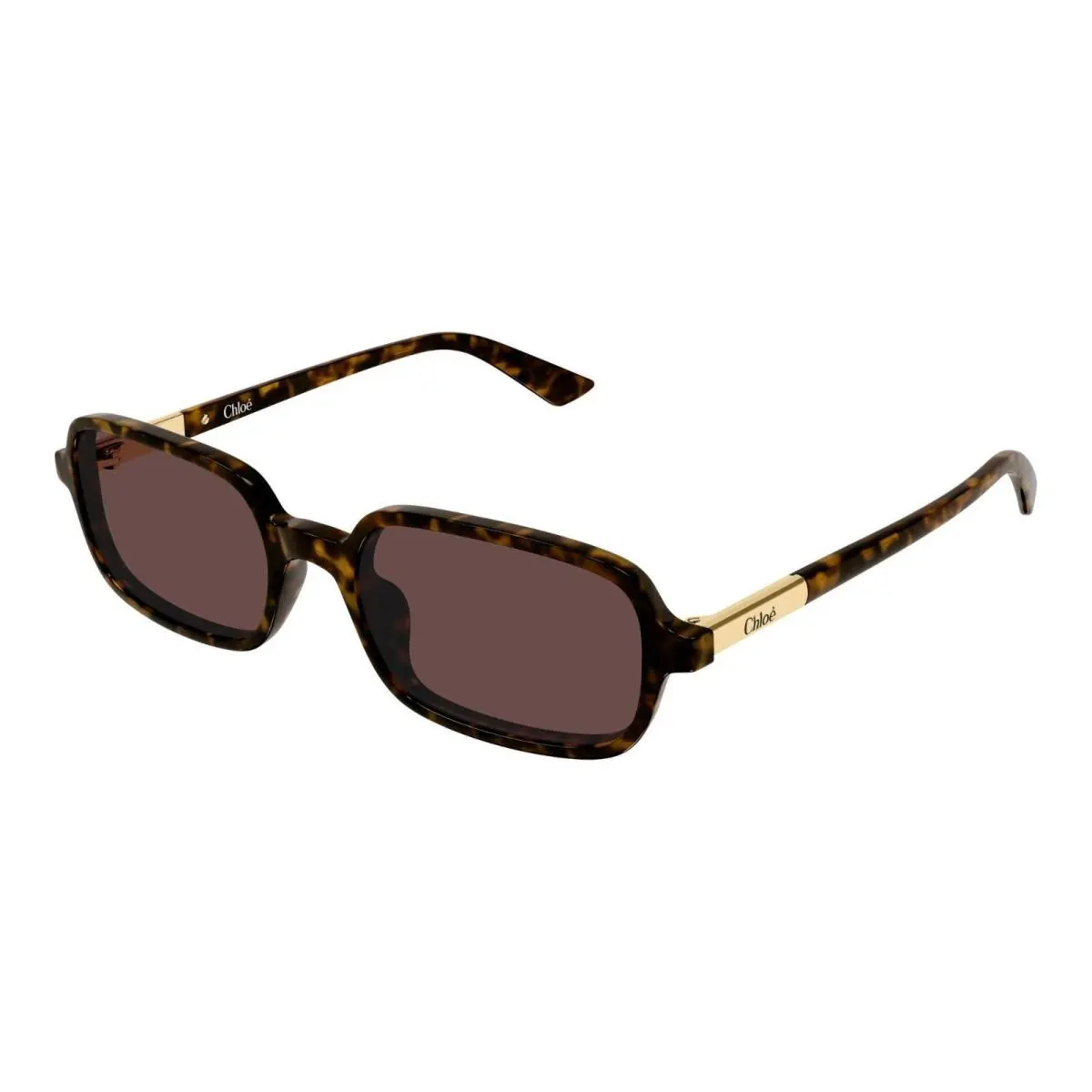 Chloe CH0363S Havana/brown 002 Sunglasses