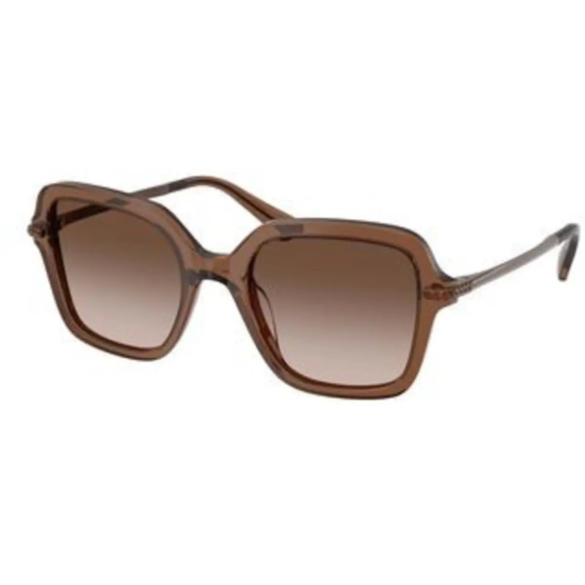 Swarovski SK 6040 Transparent Brown / Gradient 106713 Size 50 Sunglasses