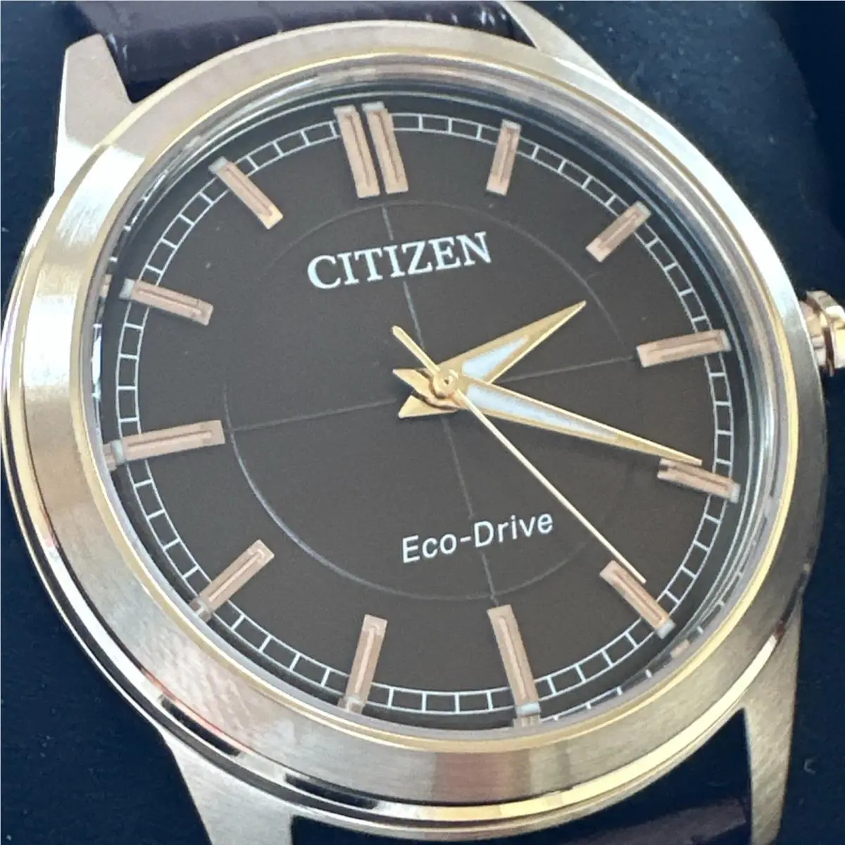 Citizen Rolan Brown Dial Men`s Watch Item No. AW2113-16X