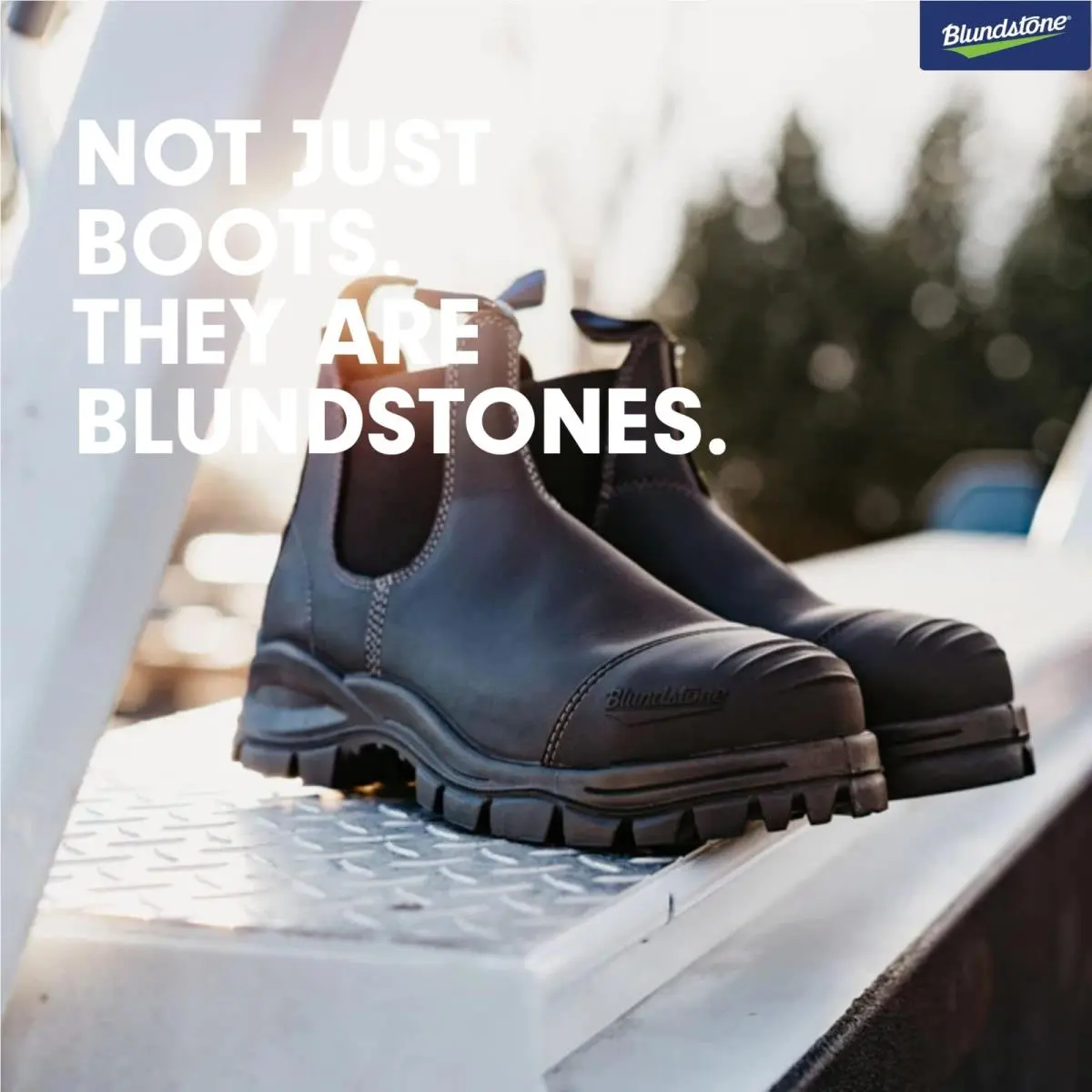 Blundstone shoes - Work & Safety Chelsea Boots - Black (UPC: 9315891430241) 6