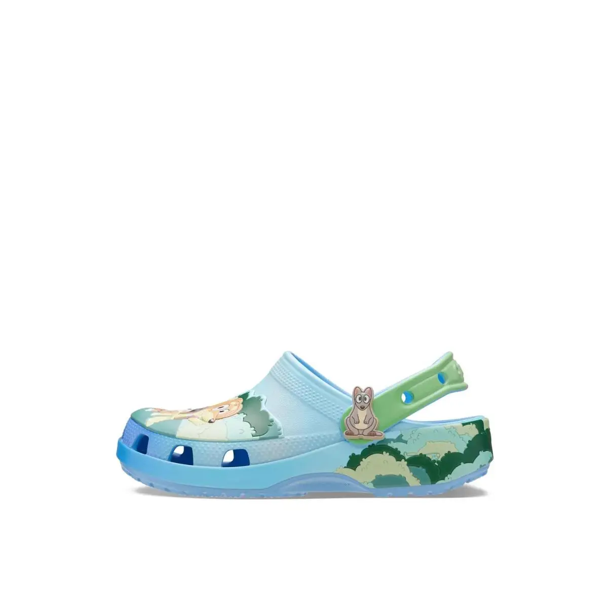 Crocs shoes - Multicolor 1