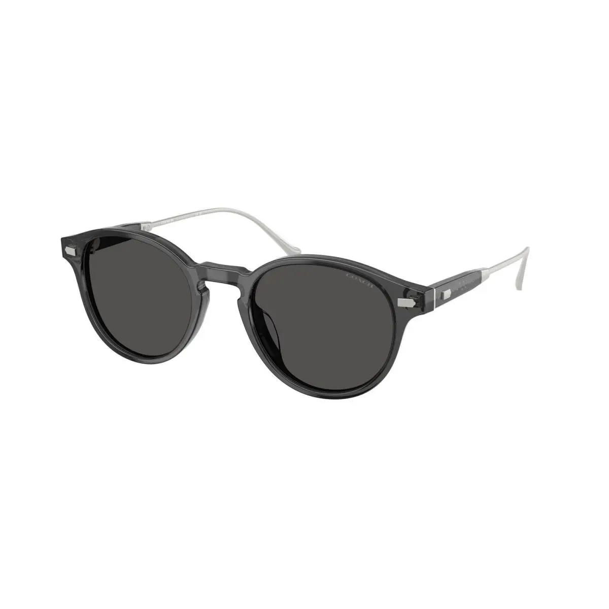 HC 8428 U Transparent Grey / Solid 587887 Size 50 Sunglasses by Coach