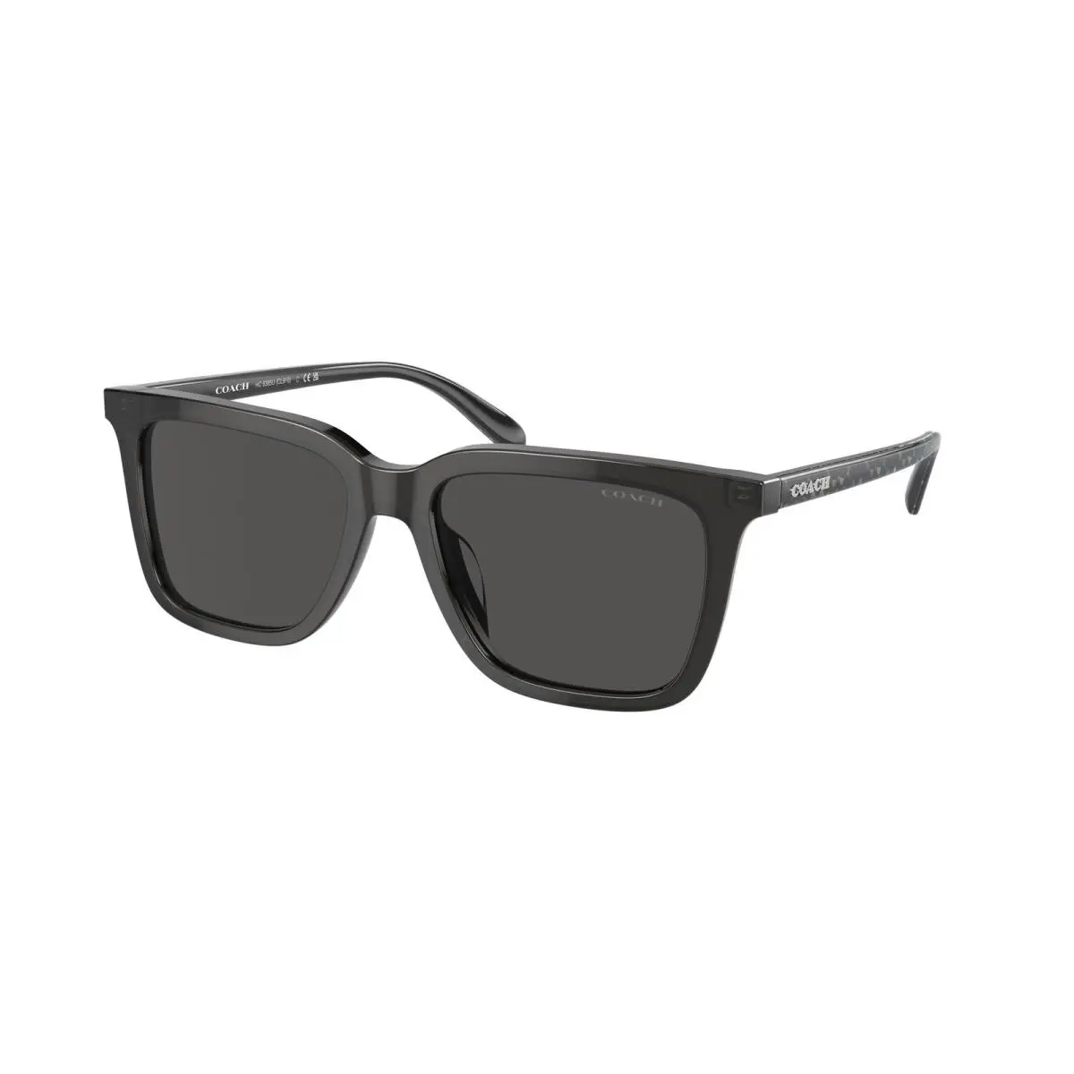 HC 8385 U Cl910 Transparent Dark Grey Gr 579387 Size 54 Sunglasses by Coach
