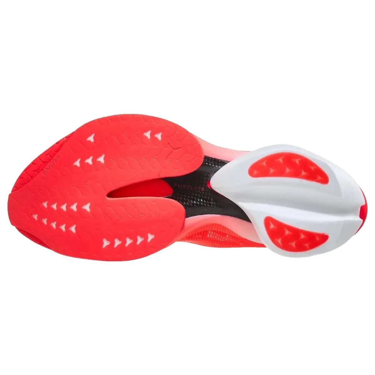 Puma shoes - Fast R Nitro Elite 3 - 312061-09 - Red/Inky Depths 9