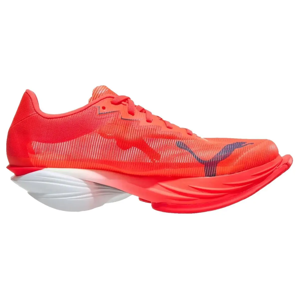 Puma shoes - Fast R Nitro Elite 3 - 312061-09 - Red/Inky Depths 7