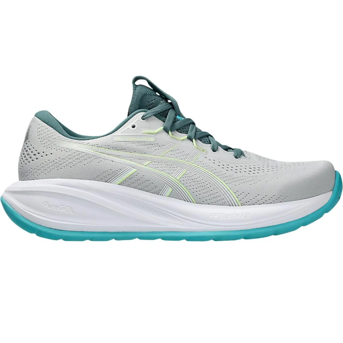 Asics shoes - Asics GEL-Cumulus 28 - Black/Carrier Grey 14