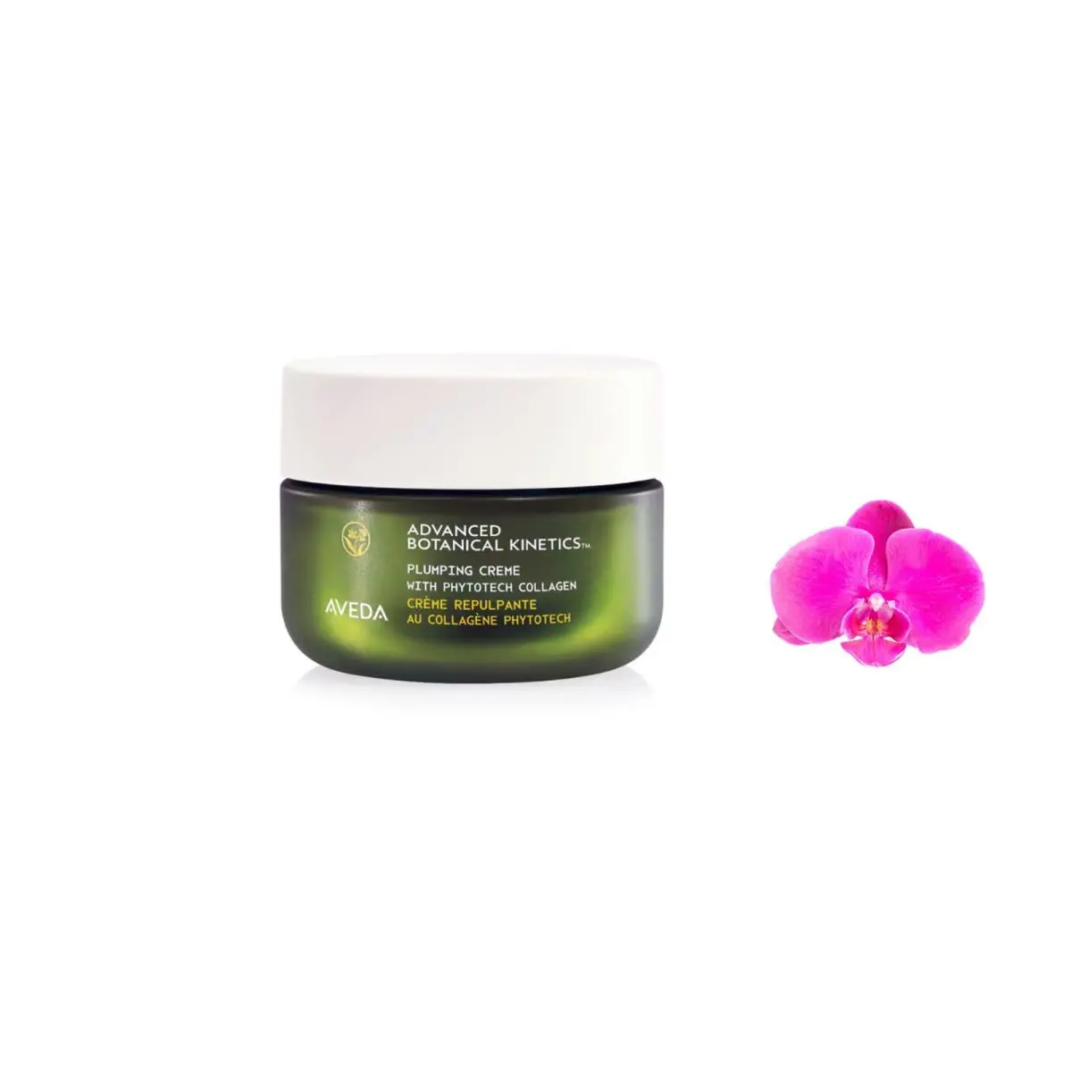 Advanced Botanical Kinetics Plumping Creme 50ml / 1.7oz by Aveda