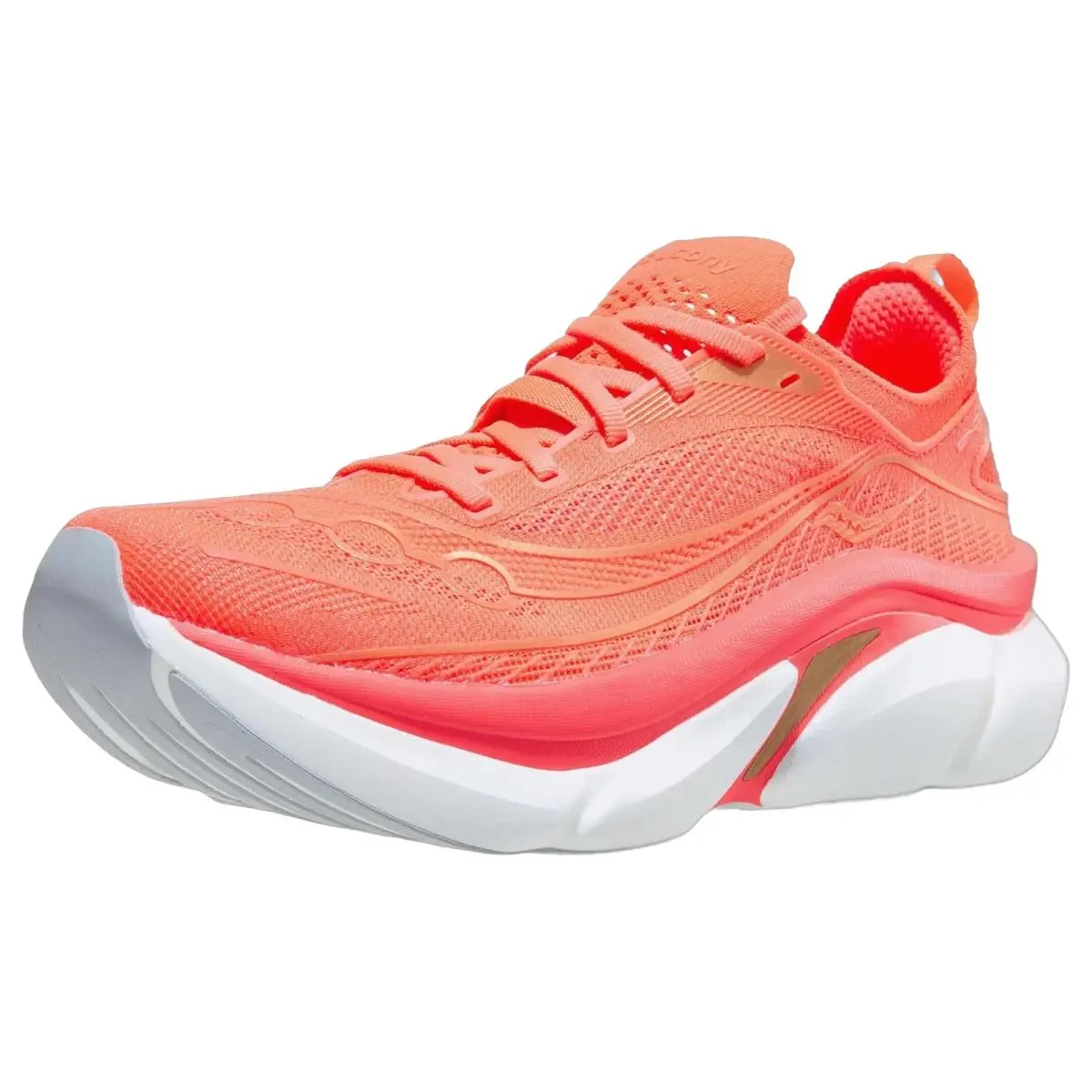 Saucony shoes - Endorphin Elite 3 - Endorphin Elite - S100981-1019 - Vizired 0