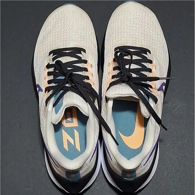 Nike shoes - Nike Pegasus - Pegasus - DH4072-006 - Multicolor 2