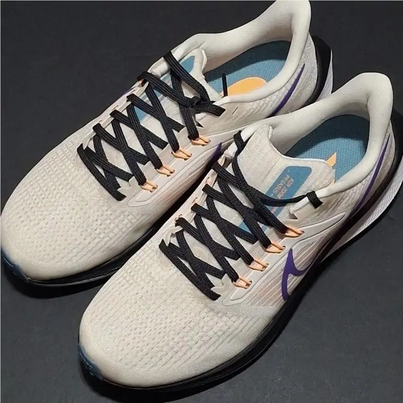 Nike shoes - Nike Pegasus - Pegasus - DH4072-006 - Multicolor 39