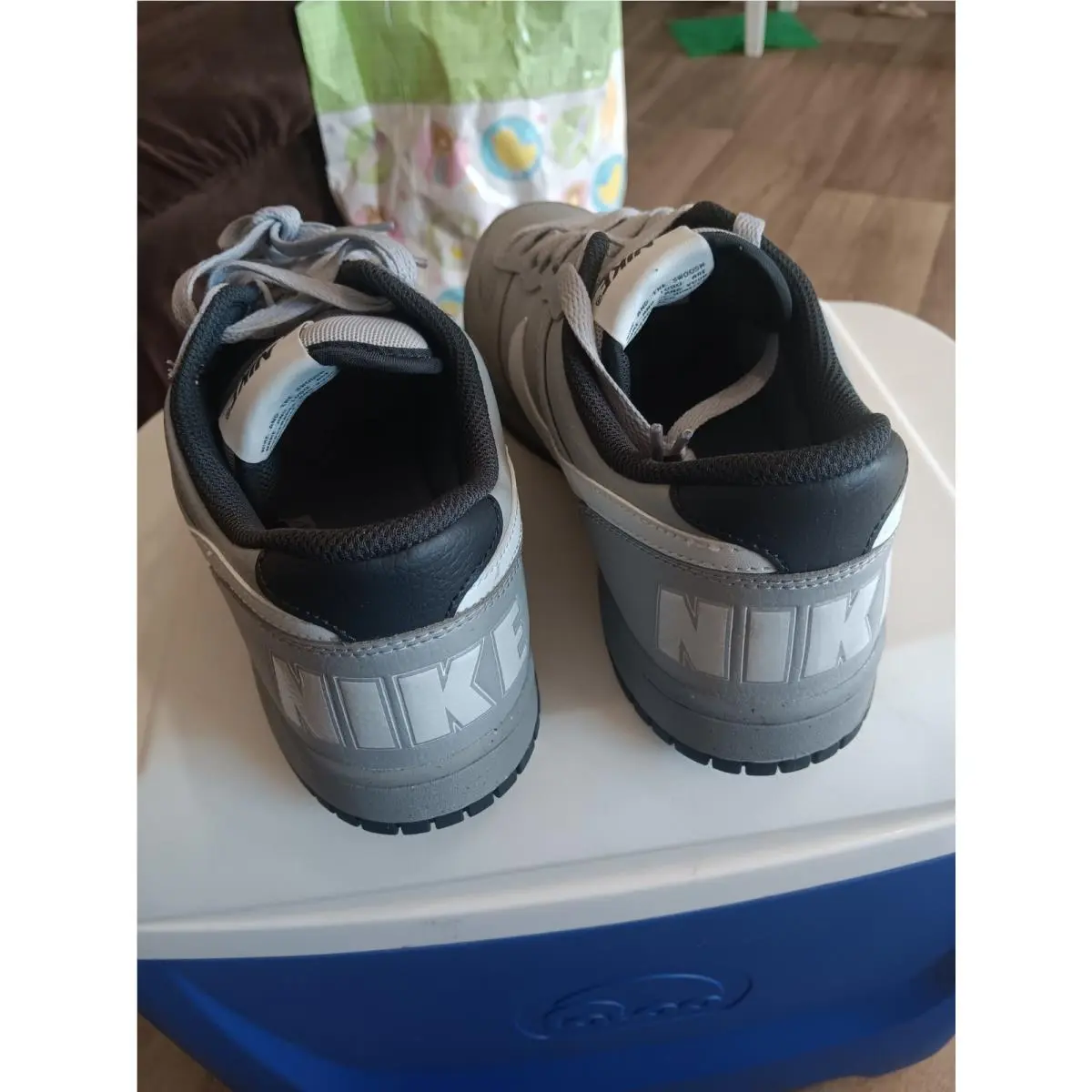 Nike shoes - Nike Dunk - Dunk - FJ5429-133 - Gray 0