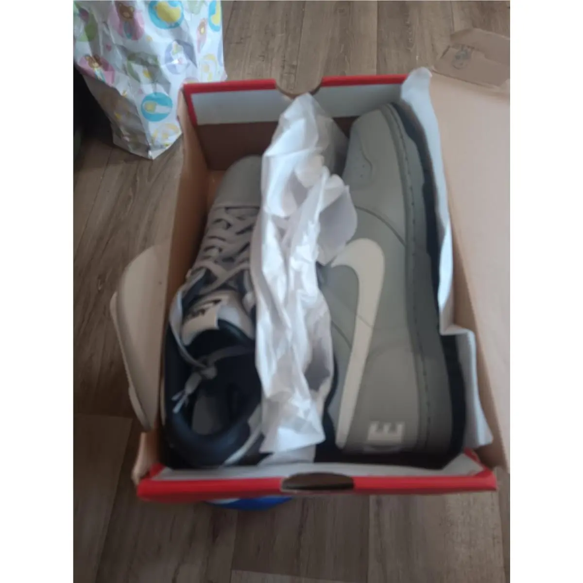 Nike shoes - Nike Dunk - Dunk - FJ5429-133 - Gray 1