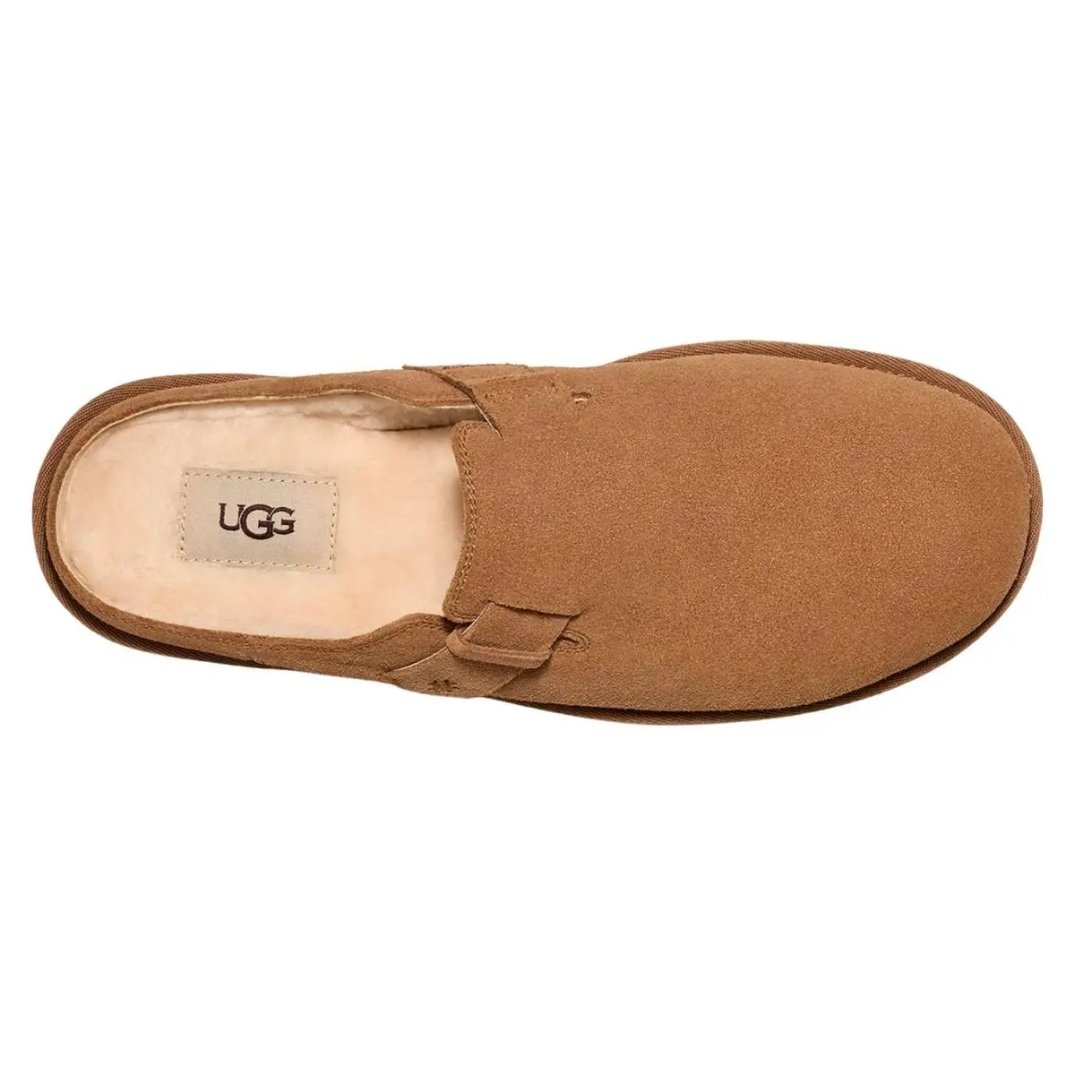 UGG shoes - Chestnut Suede 4