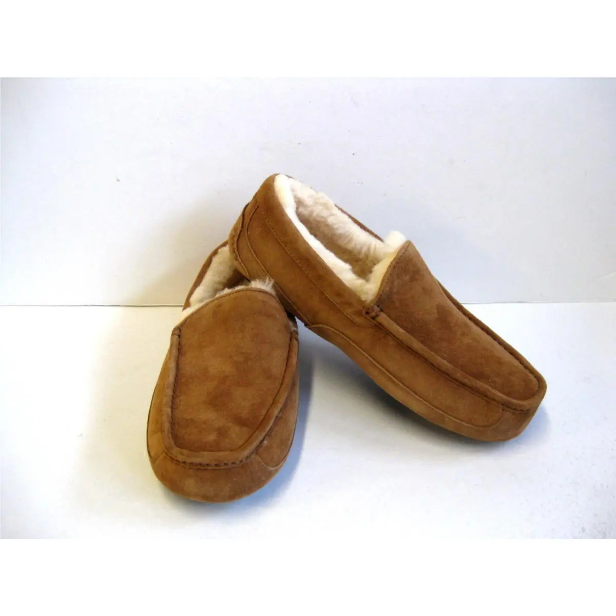 UGG shoes - ASCOT - ASCOT - Chestnut 0