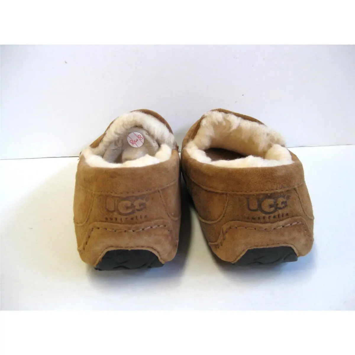 UGG shoes - ASCOT - ASCOT - Chestnut 3