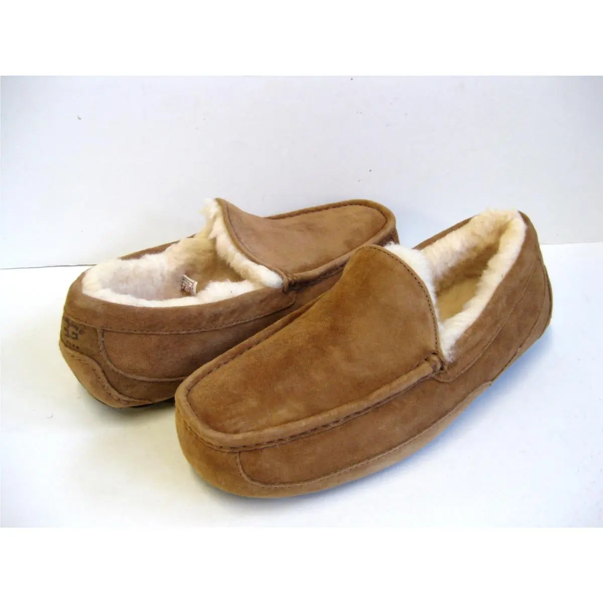 UGG shoes - ASCOT - ASCOT - Chestnut 5