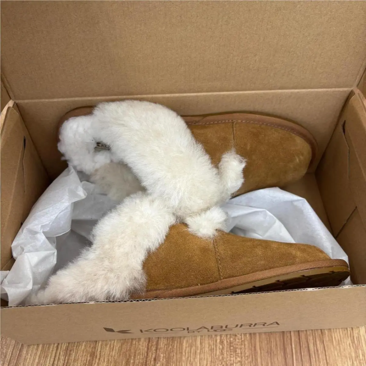 UGG shoes - Milo - Milo - Brown 4