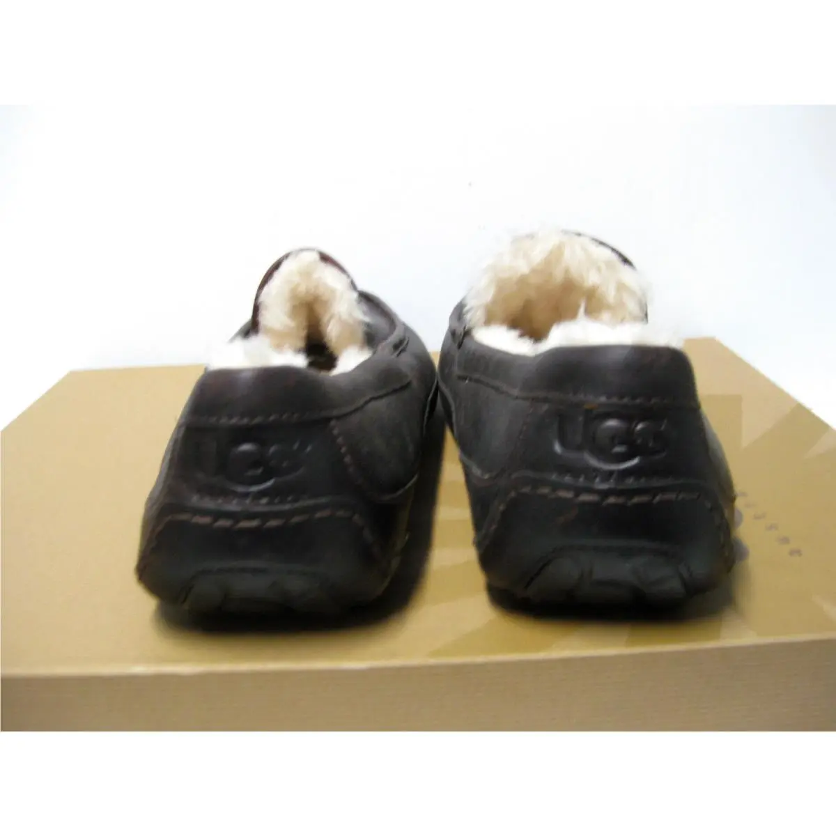 UGG shoes - ASCOT - ASCOT 1