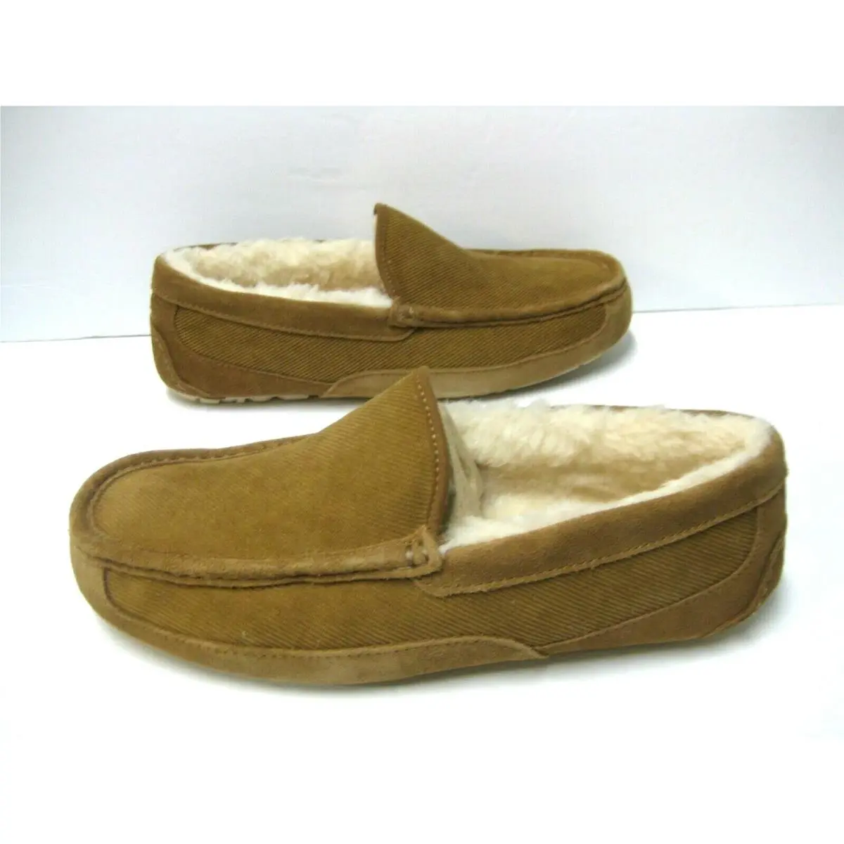 UGG shoes - ASCOT - ASCOT - Chestnut 1