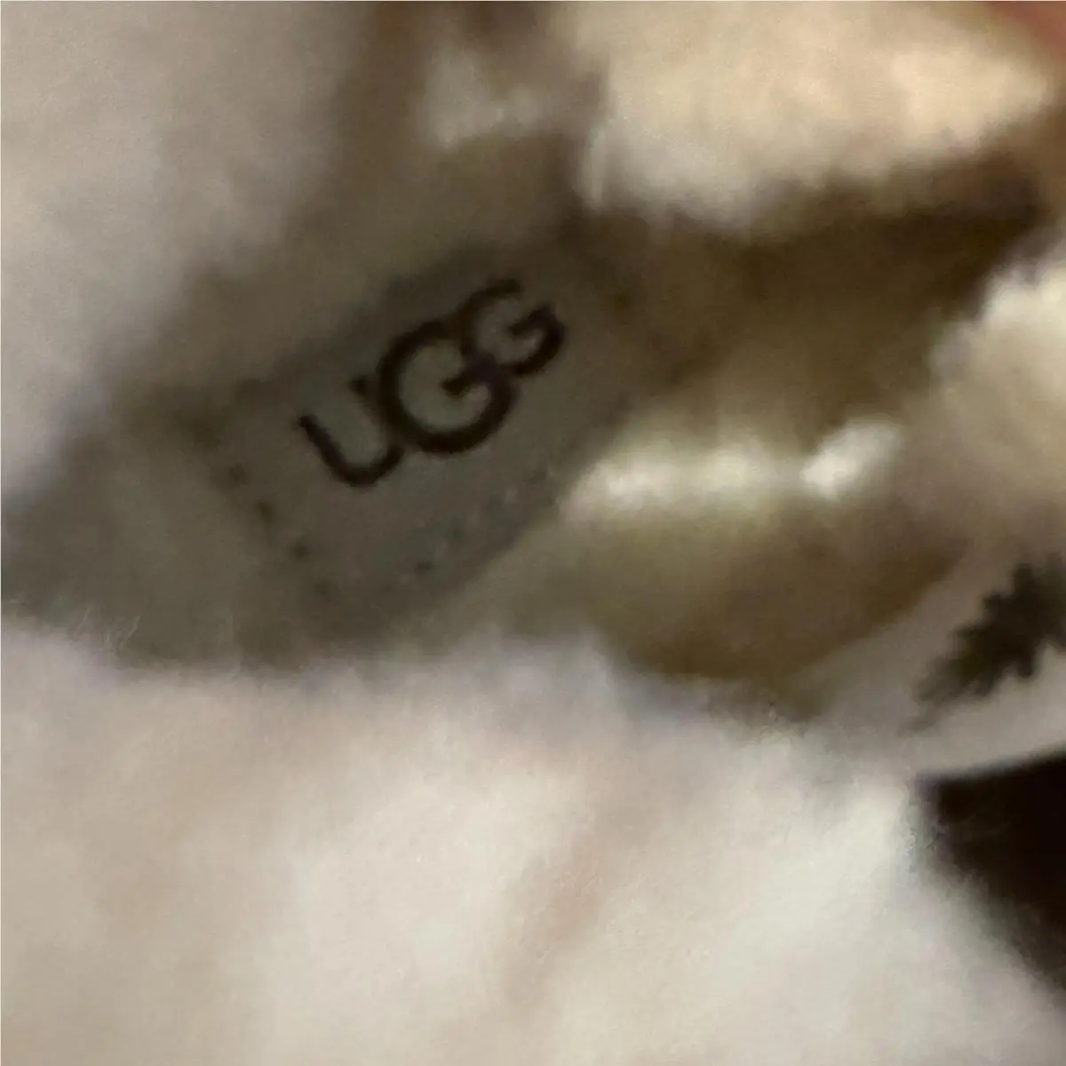 UGG shoes - TODDER NEUMEL II - TODDER NEUMEL - Brown 7