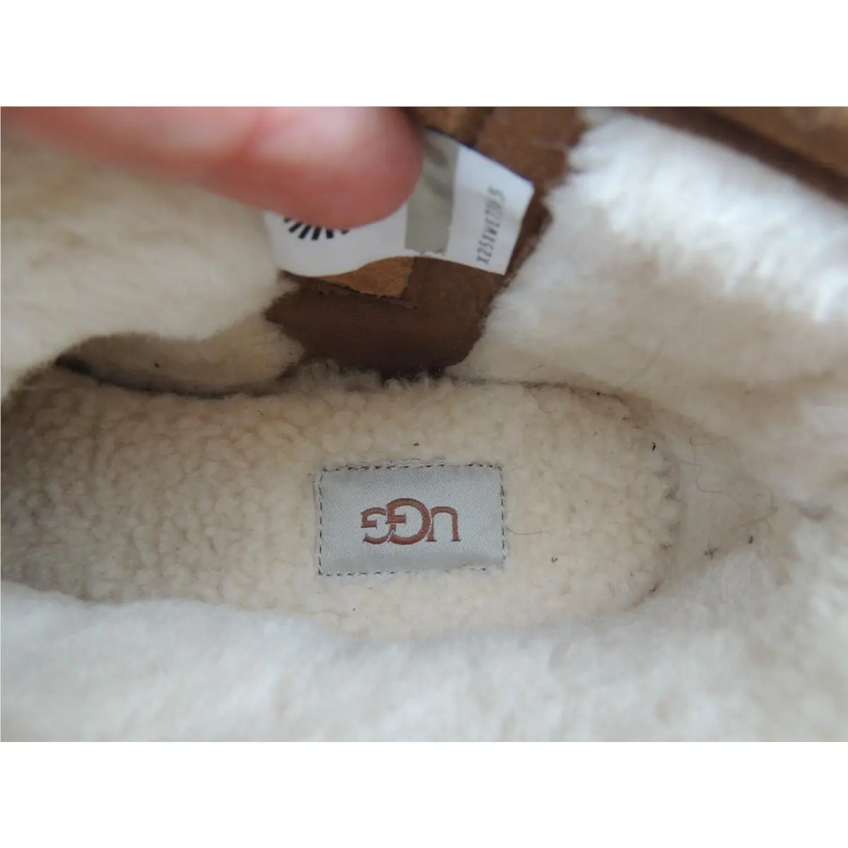 UGG shoes - UGG Fluff punk ankle boot - Chestnut Bomber (UPC: 192410400430) 5