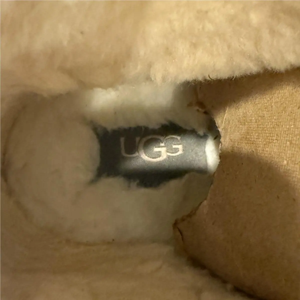 UGG shoes - UGG Maxxer Mini Boot - Maxxer Mini Boot - Green (UPC: 196565662910) 7