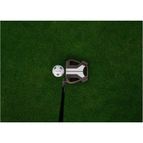 TaylorMade  - Spider X - Spider - Black, Lie Angle: Black 0