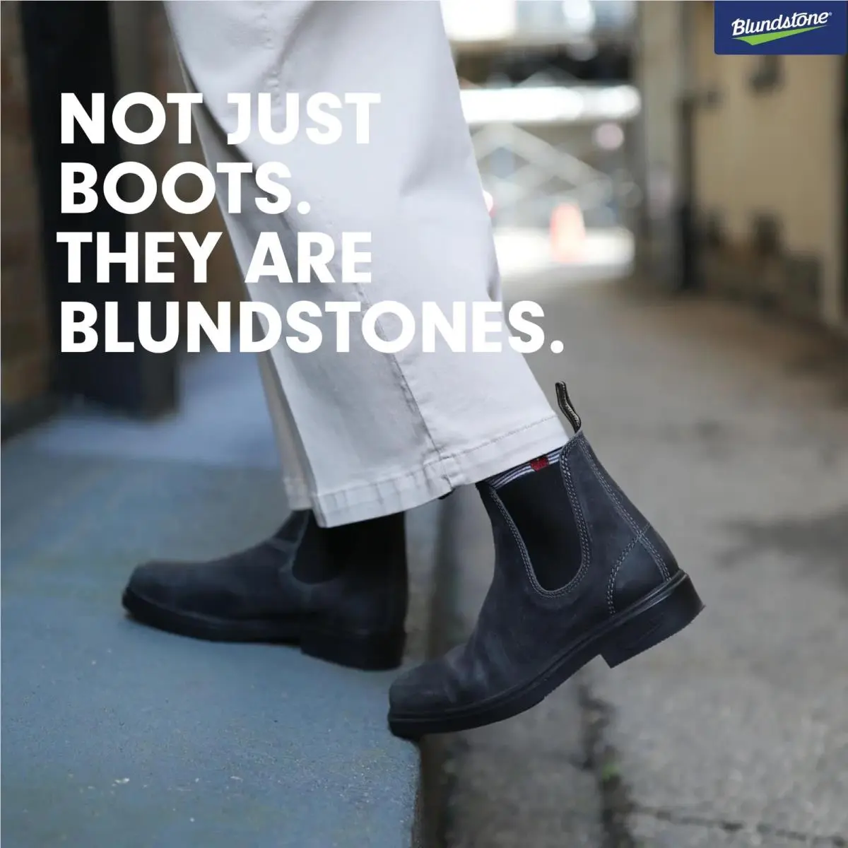 Blundstone shoes - Dress Chelsea Boots - Dress Chelsea Boots - Steel Grey Suede (UPC: 9315891598460) 6
