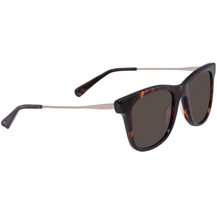 0HC8290-503173-50 Sunglasses 0mm by Coach