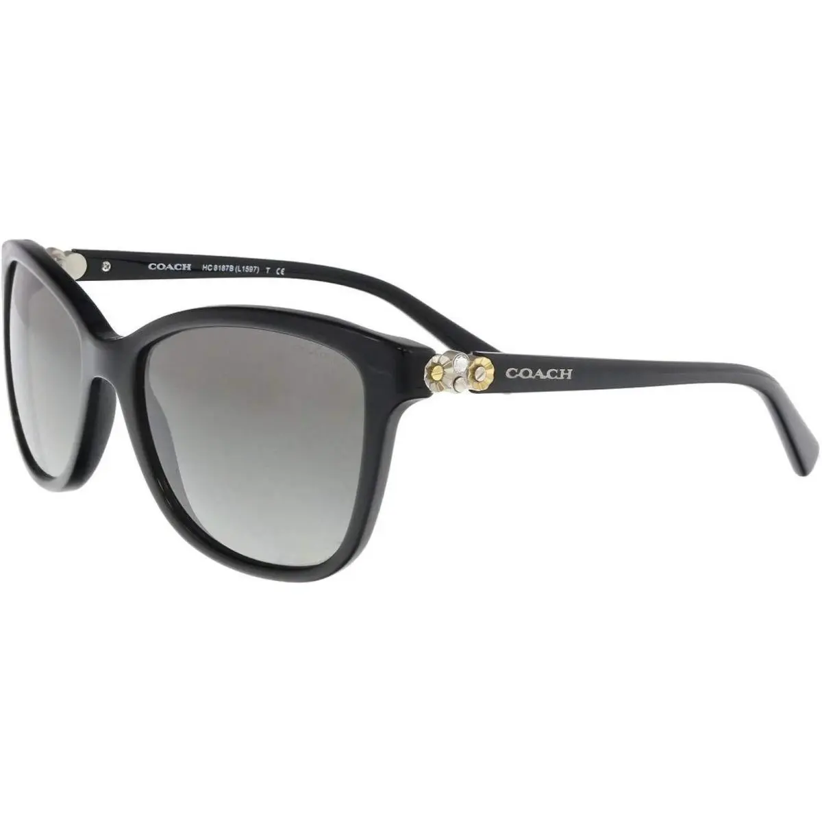 0HC8187B-500211-54 Sunglasses 0mm by Coach