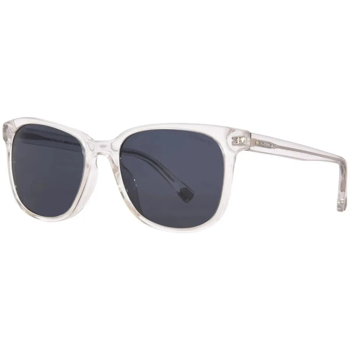 0HC8313U-511187-54 Sunglasses 54mm by Coach