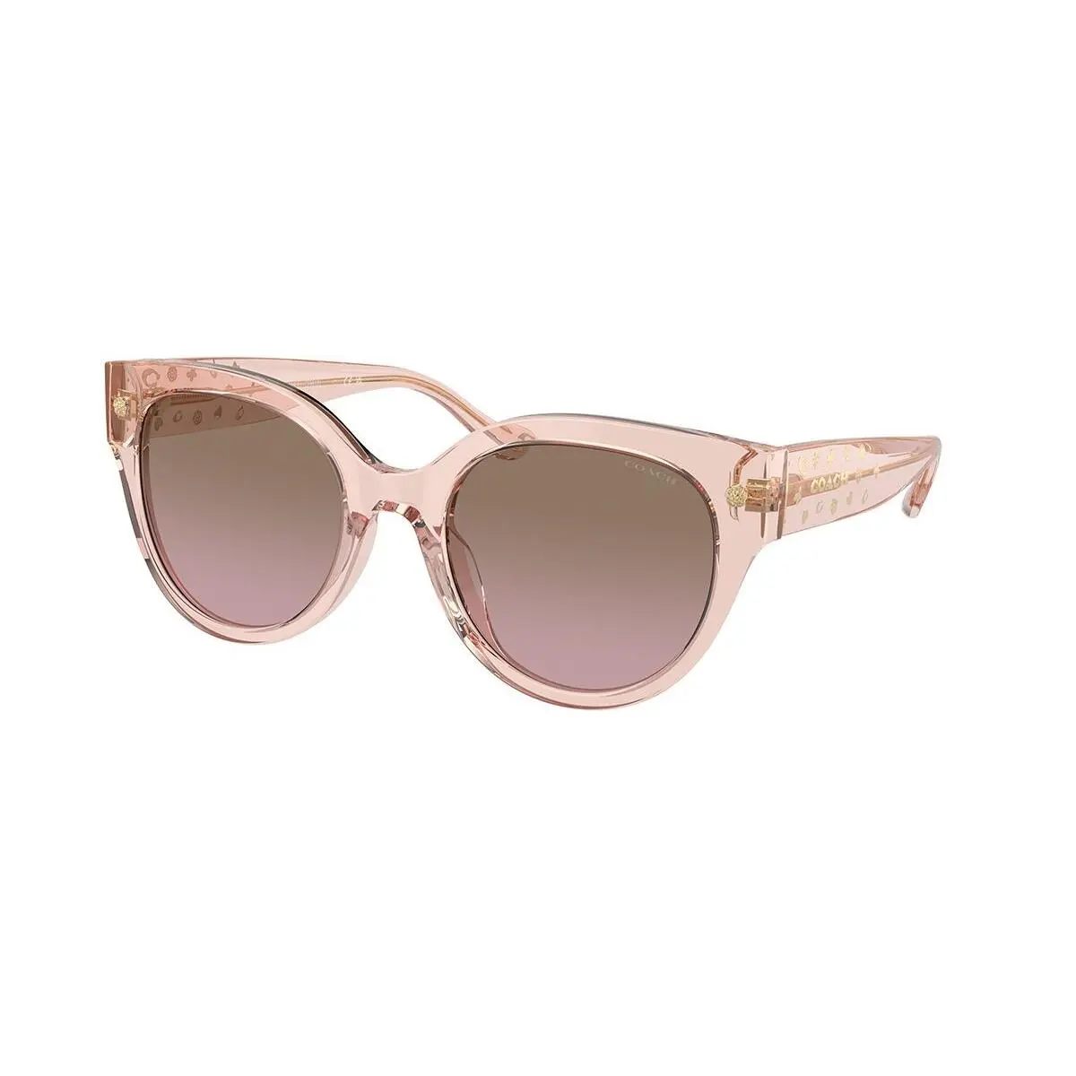 0HC8393U-566814-53 Sunglasses 53mm by Coach