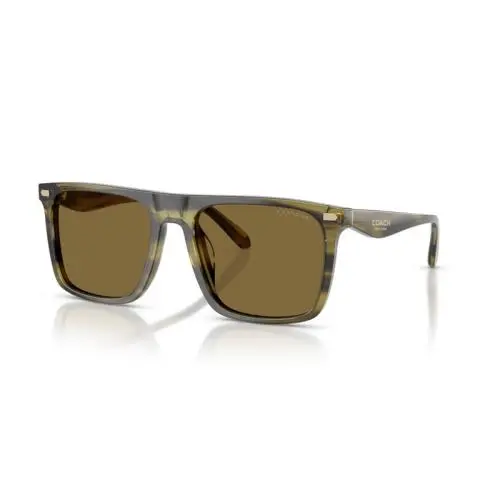 Men`s 57mm Olive Striped Sunglasses HC8440U-5907S7-57 by Coach