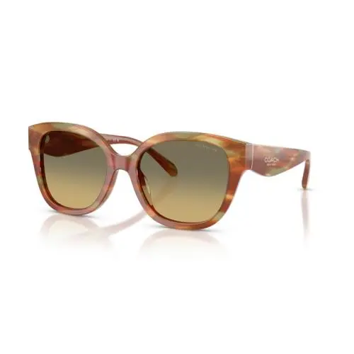 Women`s 56mm Straited Bark Sunglasses HC8438U-5898L0-56 by Coach