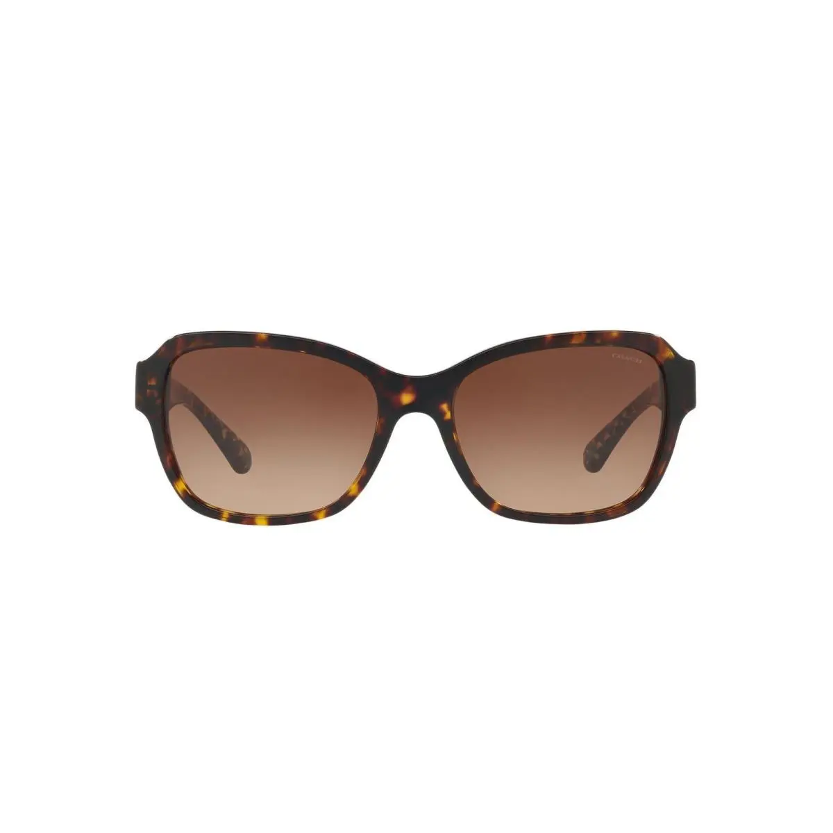 8232 L1010 Sunglasses 550713 by Coach