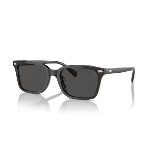 Men`s 54mm Transparent Dark Grey Sunglasses HC8398U-581787-54 by Coach
