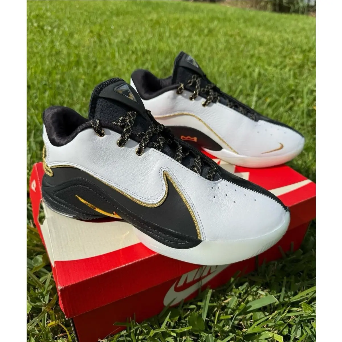 Nike shoes - Nike Essentialist - Essentialist - HQ3049-501 - black / gold 0