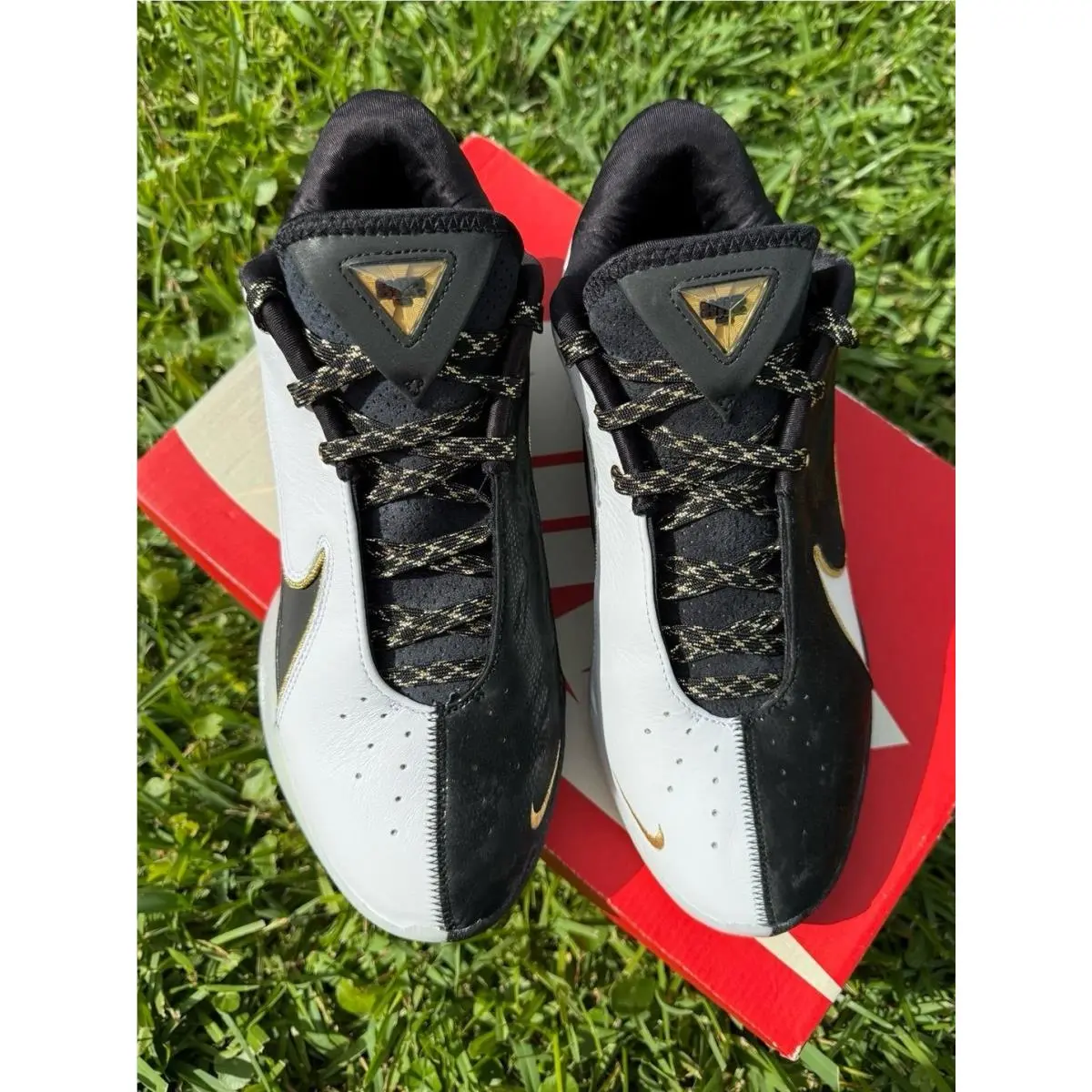 Nike shoes - Nike Essentialist - Essentialist - HQ3049-501 - black / gold 1