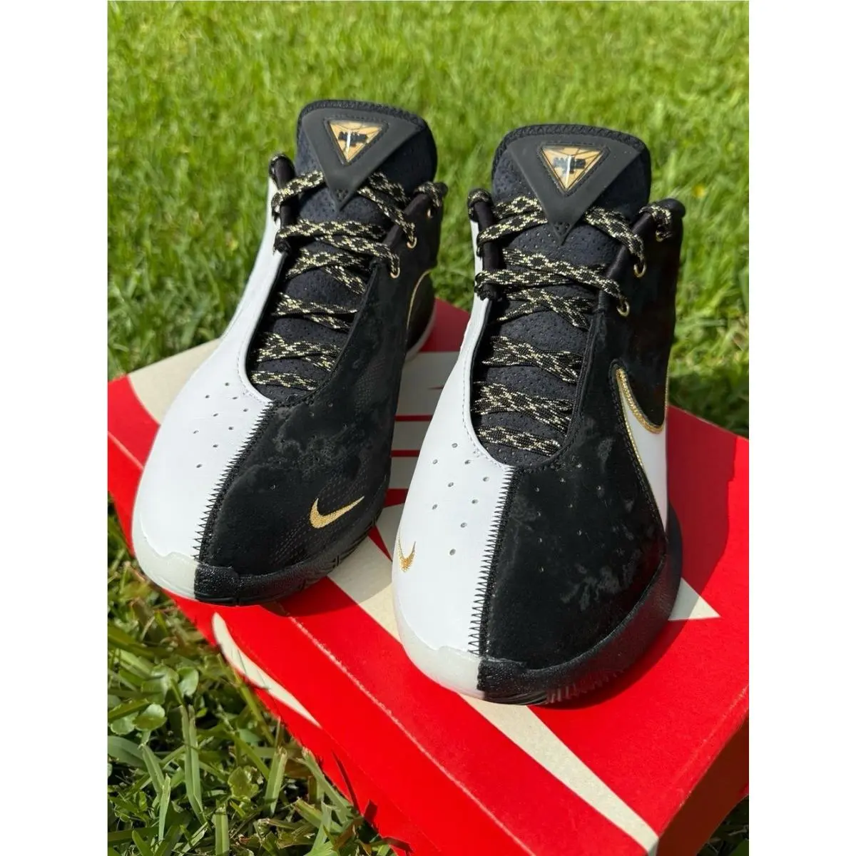 Nike shoes - Nike Essentialist - Essentialist - HQ3049-501 - black / gold 2