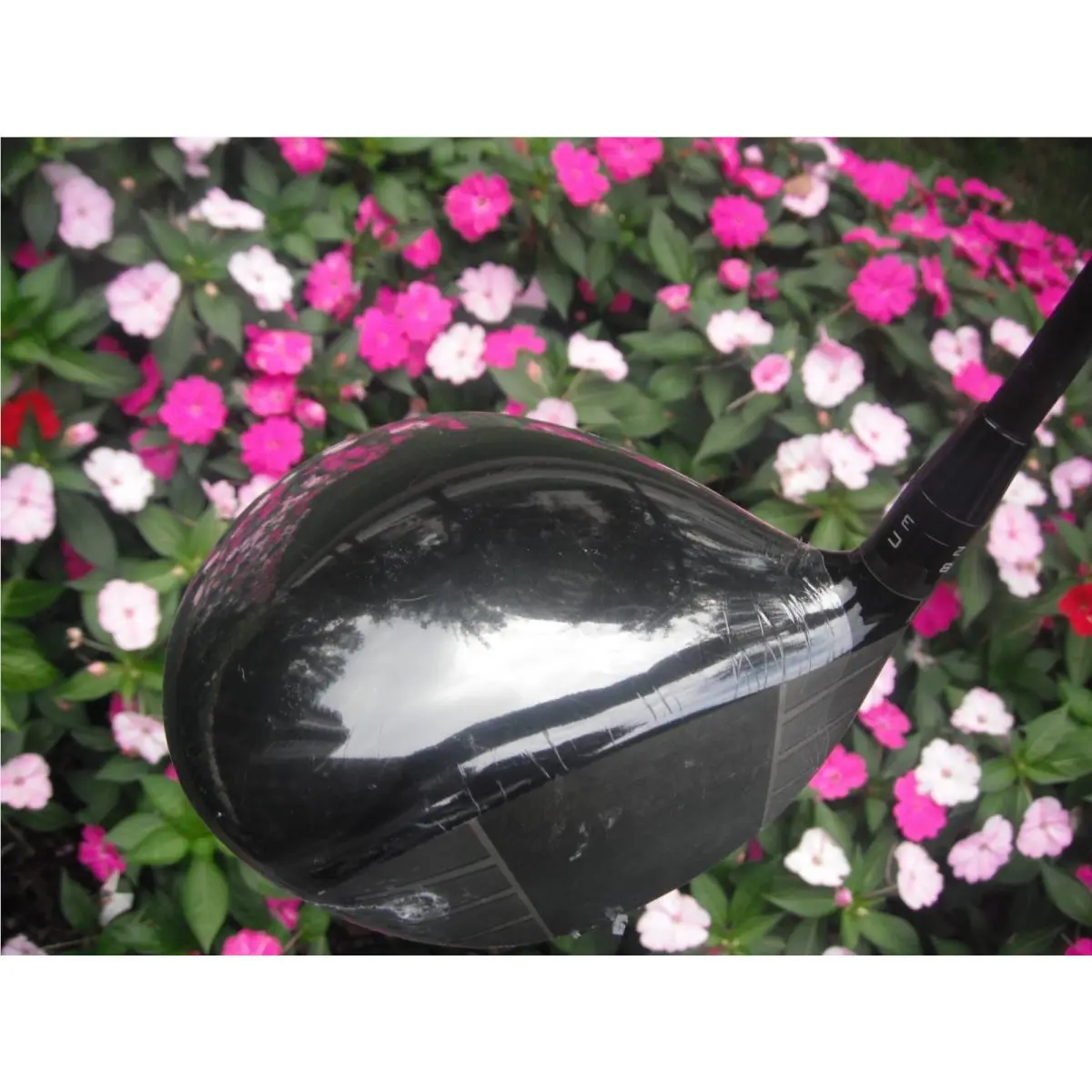 Titleist  - Titleist GT2 - Black 7